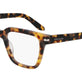 Tokyo Tortoise