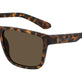 Matte Tortoise/Lumalens Brown