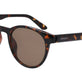 Shiny Tortoise/Lumalens Brown