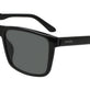 Black/Lumalens Smoke Polar