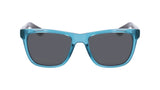 Dragon BISHOP ROB MACHADO RESIN Sunglasses