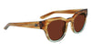 Dragon JETT Sunglasses / Brown Teal Gradient / Lumalens Rose Co / Size 49