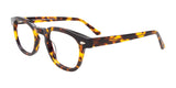 Easy3Clip EC654 Eyeglasses with Clip-on Sunglasses Tortoise