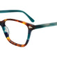 Tortoise & Teal