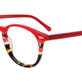 Red & Tortoise