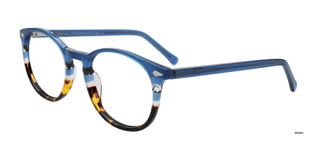 Easy3Clip EC698 Eyeglasses with Clip-on Sunglasses Blue & Tortoise