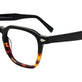 Black & Tortoise