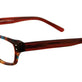 Tortoise Red