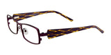 EasyClip EC236 Eyeglasses with Clip-on Sunglasses Satin Purple