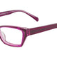 Pink & Purple