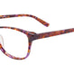 Purple & Brown