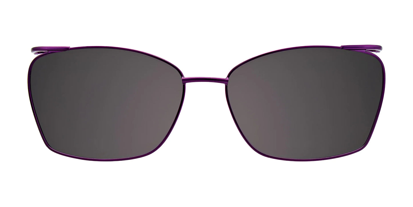EasyClip EC484 Eyeglasses Clip Only (Color №080)