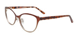 EasyClip EC498 Eyeglasses with Clip-on Sunglasses Brown & Gold