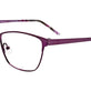 Shiny Dark Purple