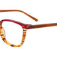 Brown Marbled & Red