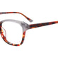 Red Tortoise & Grey