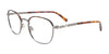 EasyClip EC517 Eyeglasses with Clip-on Sunglasses | Size 49 / Shiny Demi Amber & Dark Grey