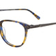 Brown & Blue Tortoise