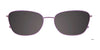 EasyClip EC539 Eyeglasses with Clip-on Sunglasses | Size 55 / Clip Only (Color №080)