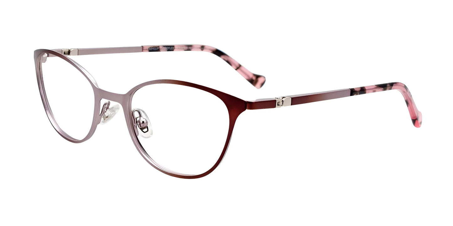 EasyClip EC548 Eyeglasses Matt Brown & Matt Silver