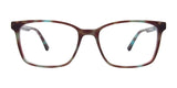 Front view of EasyClip EC564 tortoiseshell rectangular eyeglasses featuring thin frames, accompanied by a sophisticated clip-on sunglasses attachment, set against a white background.