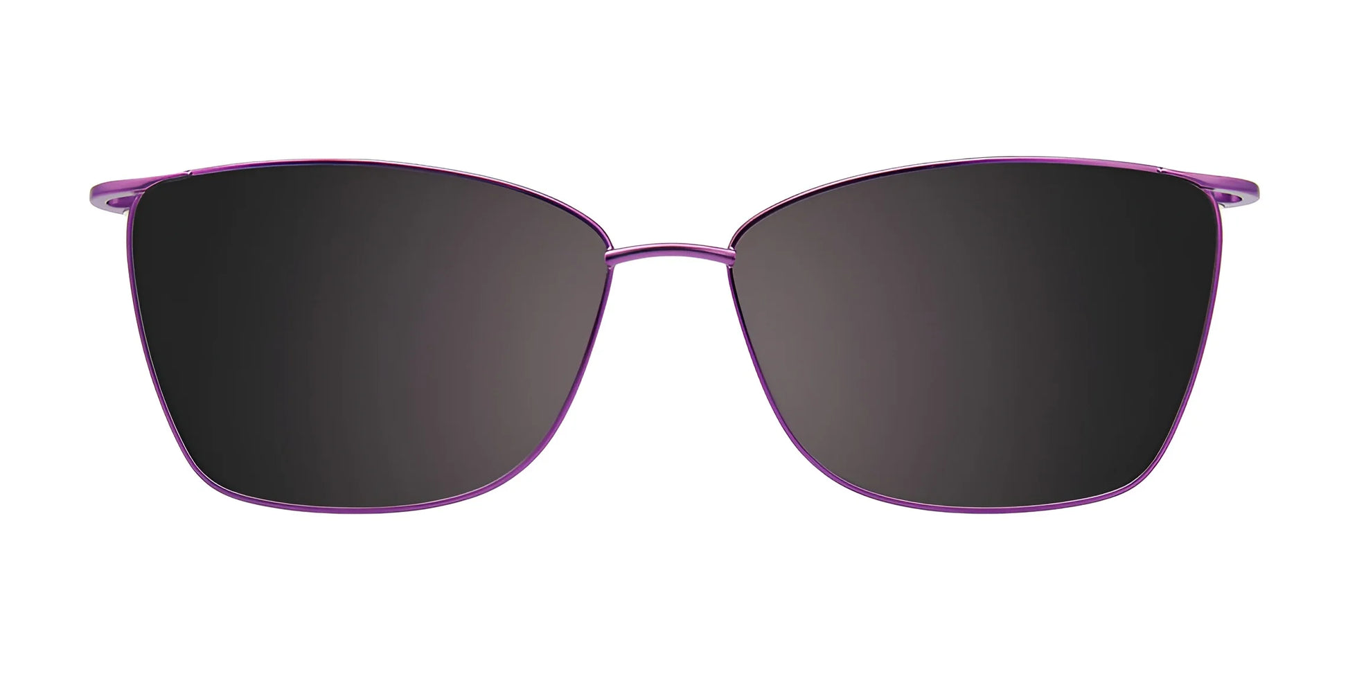 EasyClip EC570 Eyeglasses Clip Only (Color №080)