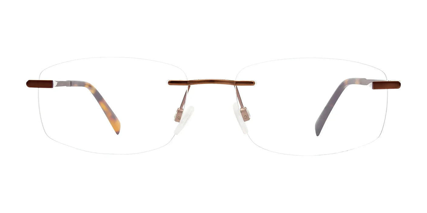 EasyClip EC572 rimless eyeglasses, featuring tortoiseshell arms and a gold bridge, designed for seamless integration with clip-on sunglasses, set against a white background.