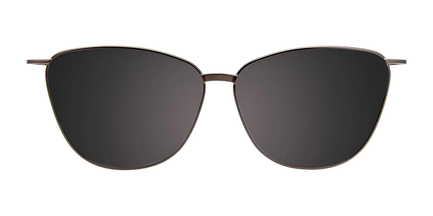 EasyClip EC576 Eyeglasses, featuring a detachable clip-on sunglasses with a metal frame and dark, polarized lenses, set against a white background.