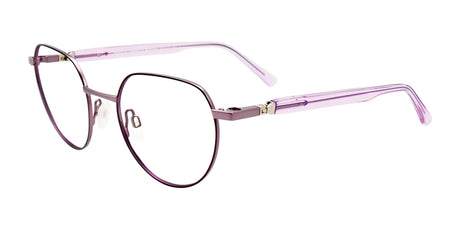 EasyClip EC578 Eyeglasses with Clip-on Sunglasses Dk Purp & Lit Purp / Crys Purp