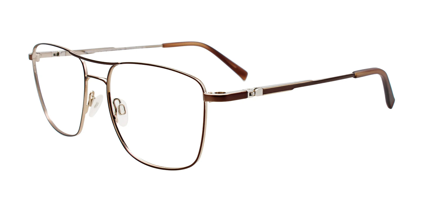 EasyClip EC579 Eyeglasses with Clip-on Sunglasses Satin Steel Gold & Matt Brown