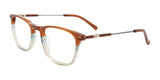 EasyClip EC580 Eyeglasses Brown & Light Blue & Grey / Steel & Brown