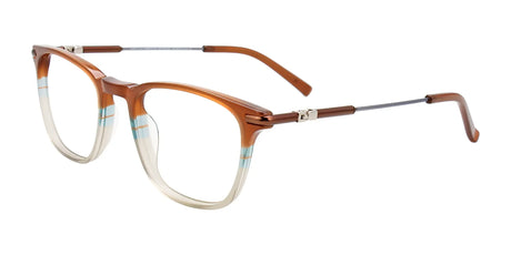 EasyClip EC580 Eyeglasses Brown & Light Blue & Grey / Steel & Brown