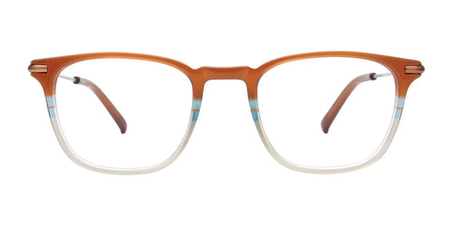 EasyClip EC580 Eyeglasses / Size 46 / Brown & Light Blue & Grey / Steel & Brown