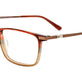 Brown Gradient/Brown