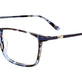 Blue Tortoise/Blue