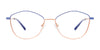 EasyClip EC608 Eyeglasses with Clip-on Sunglasses | Size 53 / Blue & Light Copper