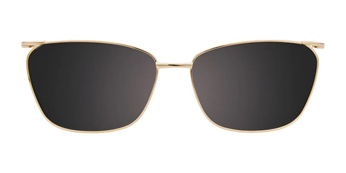 EasyClip EC618 Eyeglasses with Clip-on Sunglasses / Size 53 / Beige Transp Prl Effect & Gold
