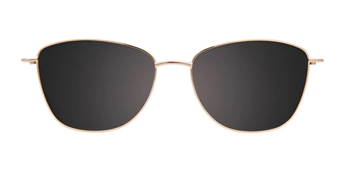 EasyClip EC619 Eyeglasses with Clip-on Sunglasses / Size 54 / Shiny Gold & Black