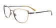 EasyClip EC624 Eyeglasses with Clip-on Sunglasses Gold & Dark Grey