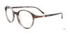 EasyClip EC647 Eyeglasses with Clip-on Sunglasses | Size 49 / Greysh Brown & Brown