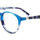 Tr. Blue & Blue Tortoise