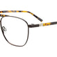 Brown & Tortoise