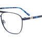 Blue & Blue Tortoise