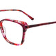 Red Tortoise