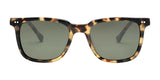 Electric Birch Sunglasses | Size 50