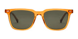 Electric Birch Sunglasses | Size 50