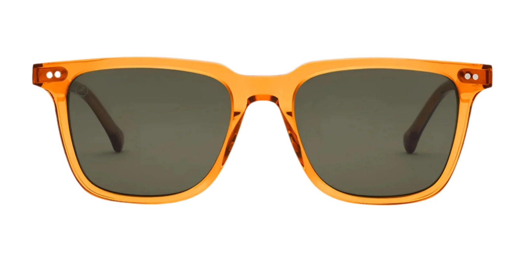 Electric Birch Sunglasses | Size 50