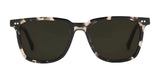 Electric Birch Sunglasses | Size 50