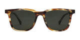 Electric Birch Sunglasses | Size 50