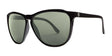 Electric Encelia Sunglasses Gloss Black / Grey Polarized